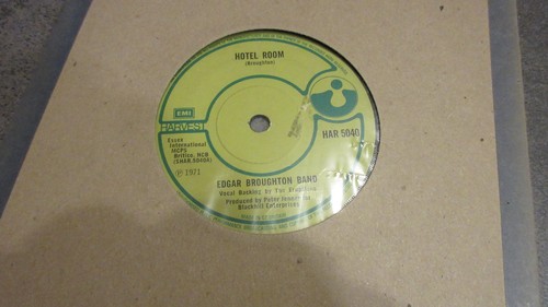 Edgar broughton band hotel - band,